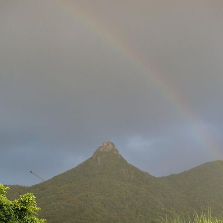 Umisuzume Hotel Ishigaki  Eksteriør billede