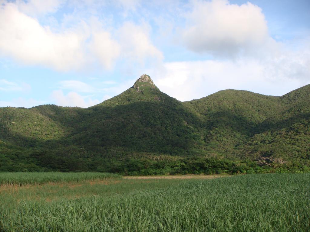 Umisuzume Hotel Ishigaki  Eksteriør billede